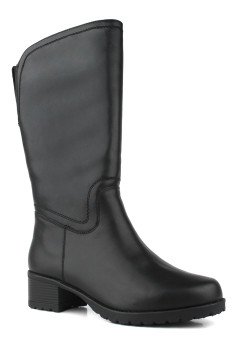 Женские сапоги Francesco Donni P1S1 100BW-206-02